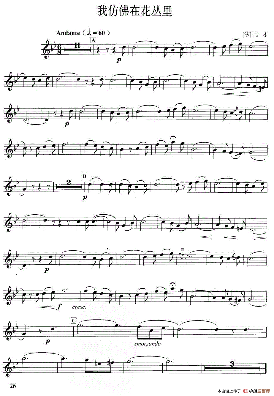 我仿佛在花丛里