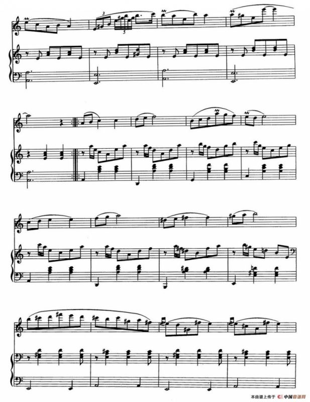 圆舞曲（徐成刚 罗晓京移植）