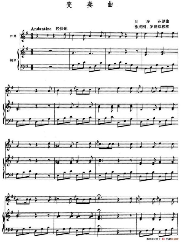 变奏曲（徐成刚 罗晓京移植）