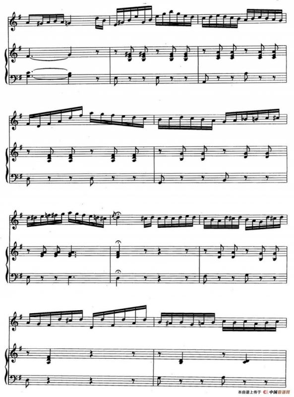 变奏曲（徐成刚 罗晓京移植）