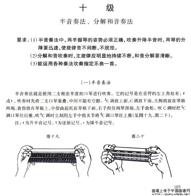 考级十级曲目：小步舞曲