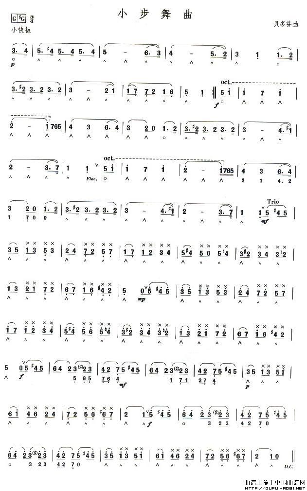 考级十级曲目：小步舞曲