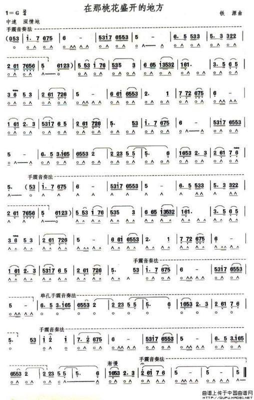 考级七级曲目：在那桃花盛开的地方