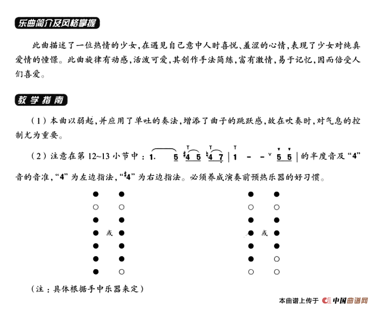 葫芦丝教学曲集：心恋