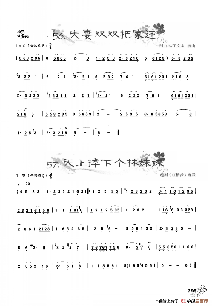 葫芦丝曲精选：夫妻双双把家还 天上掉下个林妹妹