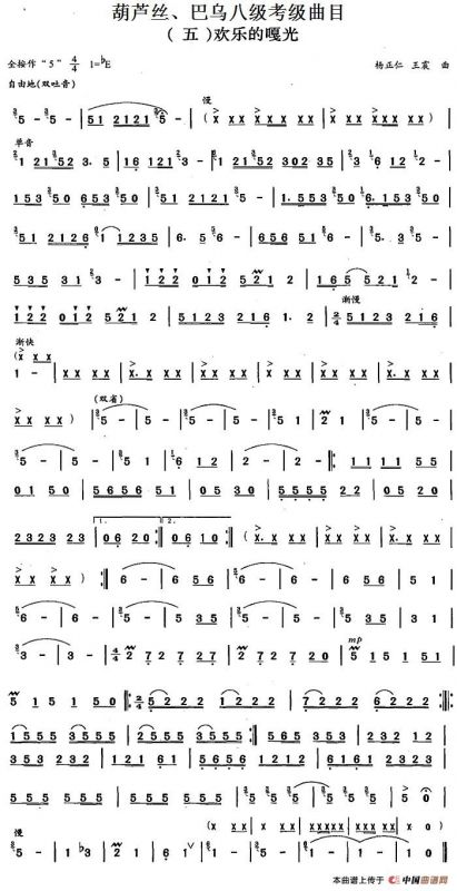 葫芦丝、巴乌八级考级曲目：欢乐的嘎光