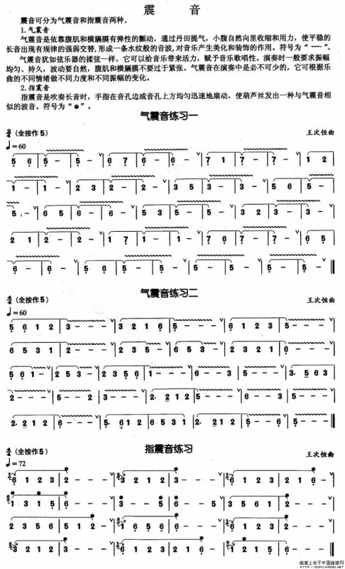 葫芦丝基本技巧练习曲——震音