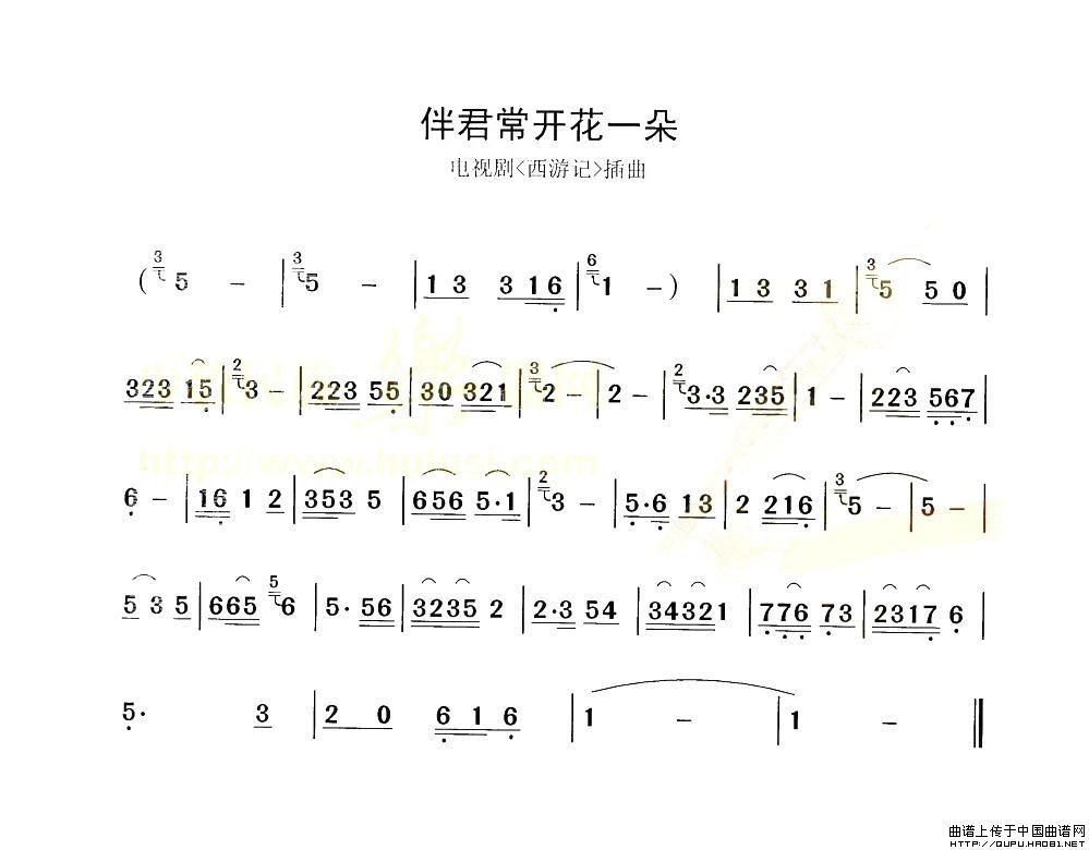 伴君常开花一朵