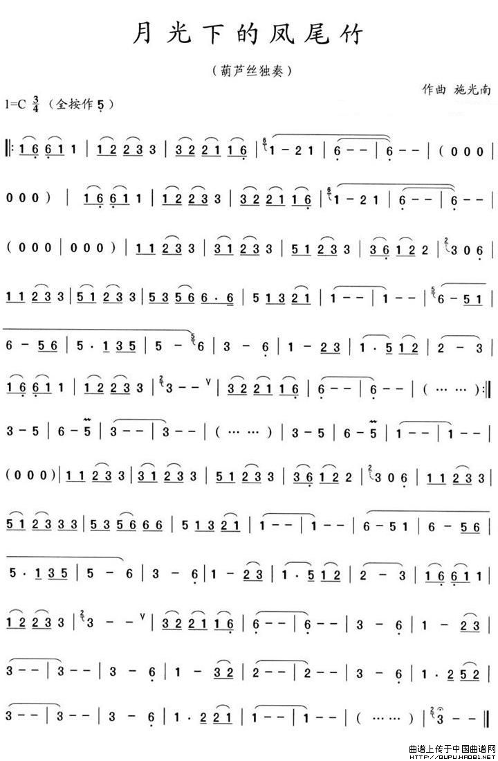 月光下的凤尾竹