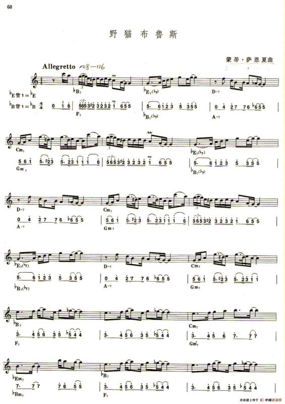 野猫布鲁斯（线简谱对照版）