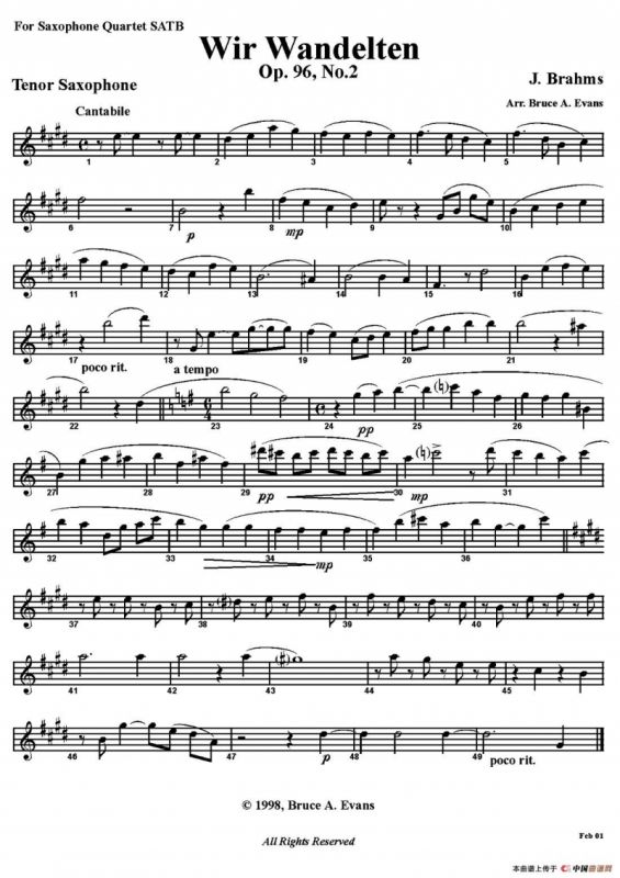 Wir Wandelten（五重奏）