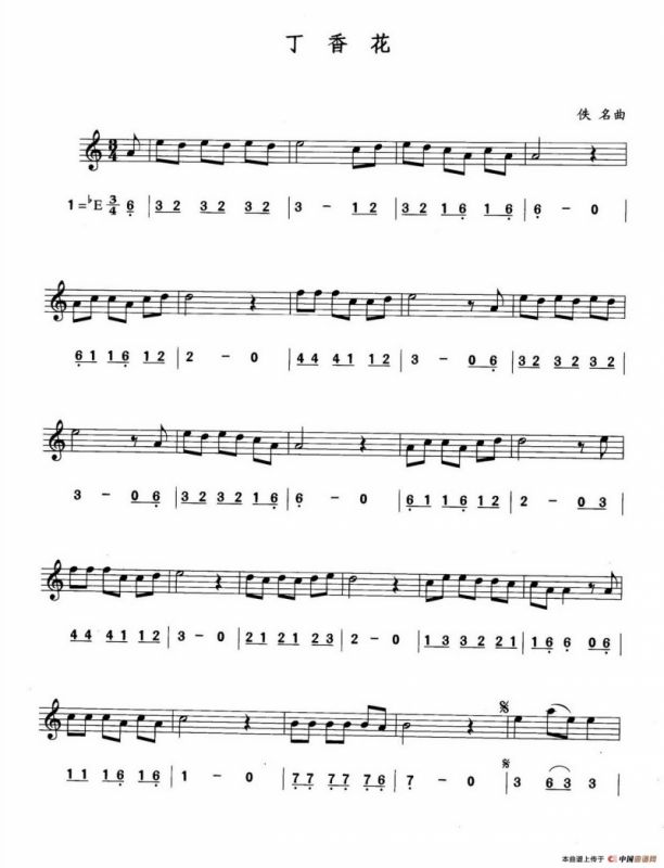丁香花（线简谱对照版）