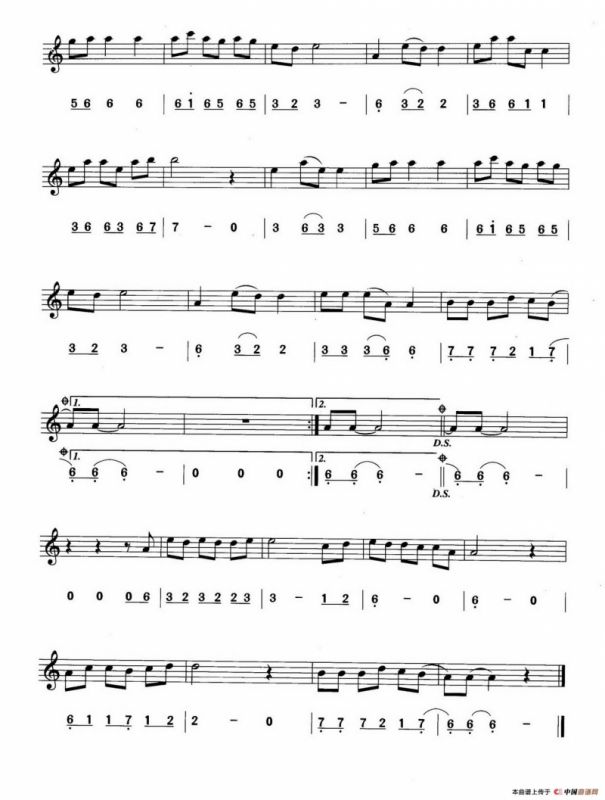 丁香花（线简谱对照版）