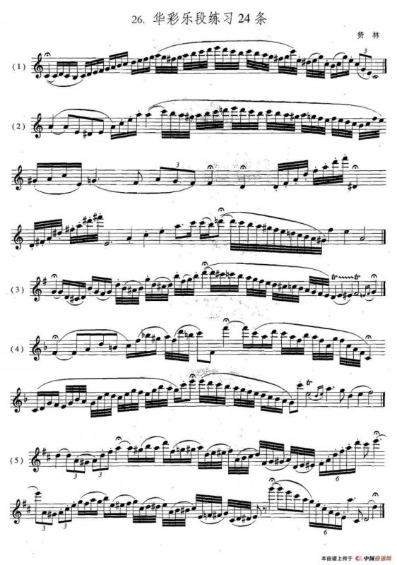 萨克斯练习曲合集（5—26）华彩乐段练习24条