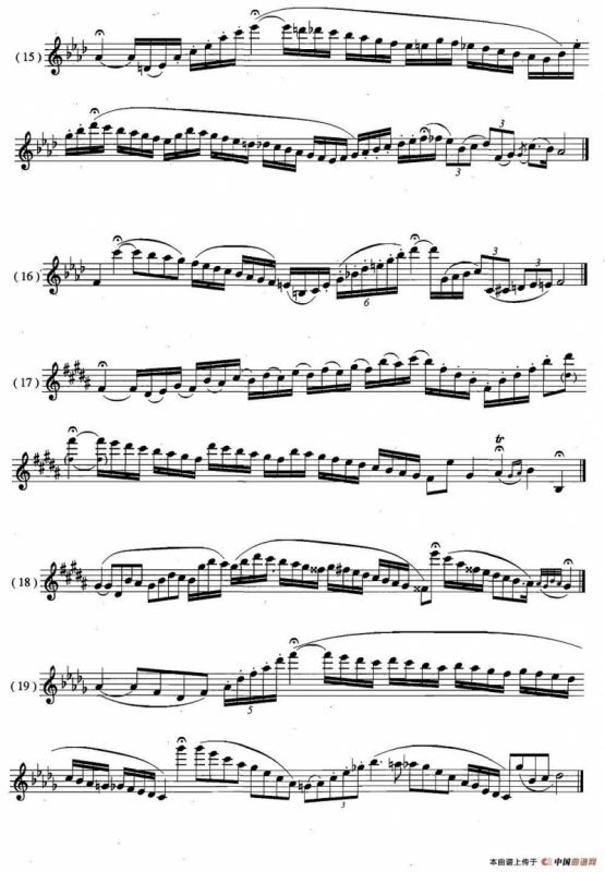 萨克斯练习曲合集（5—26）华彩乐段练习24条