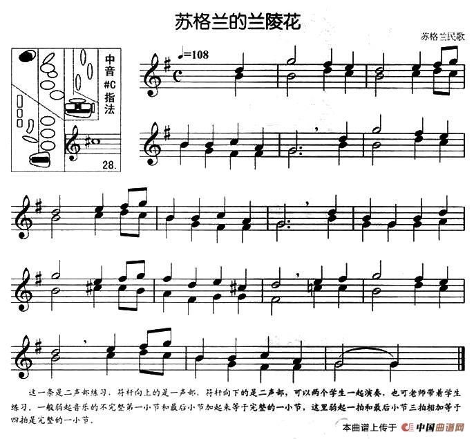 苏格兰的兰陵花（二重奏）