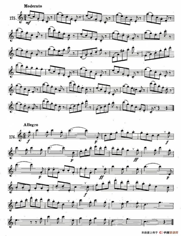 练习曲合集：28、断音练习