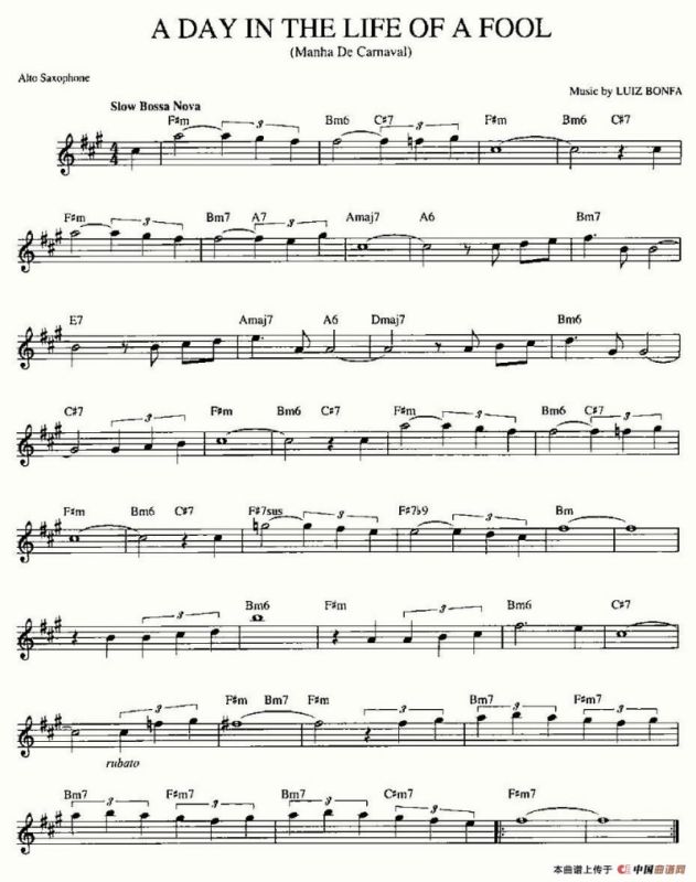 A DAY IN THE LIFE OF A FOOL