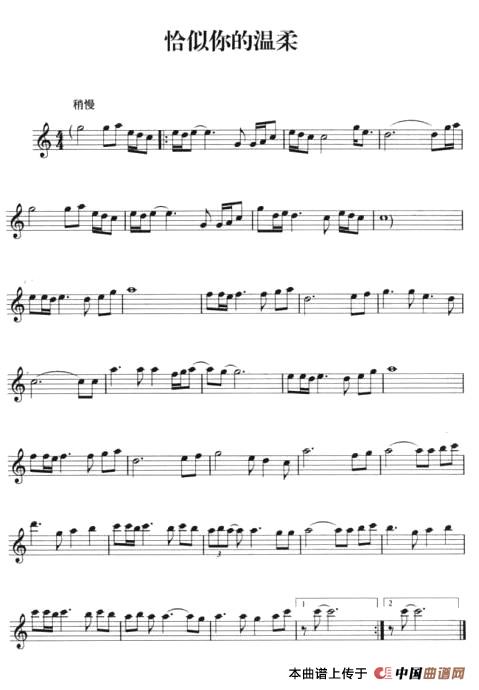 恰似你的温柔