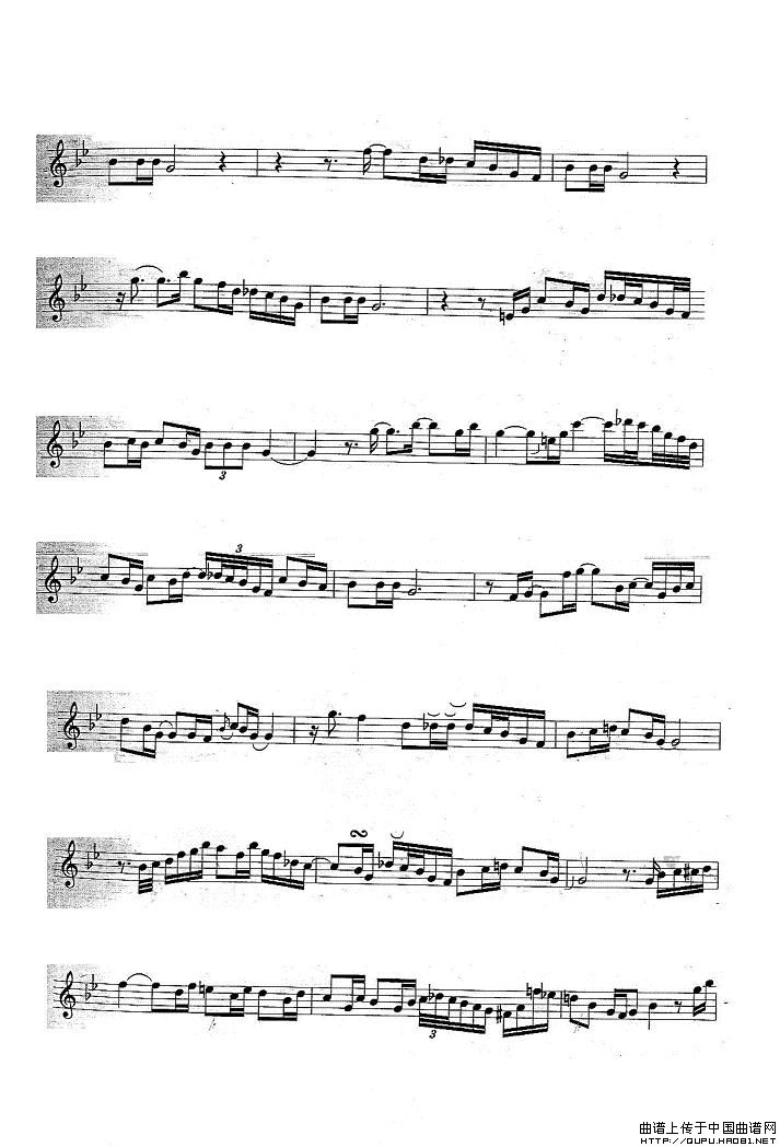 姊妹花（Sister Rose）