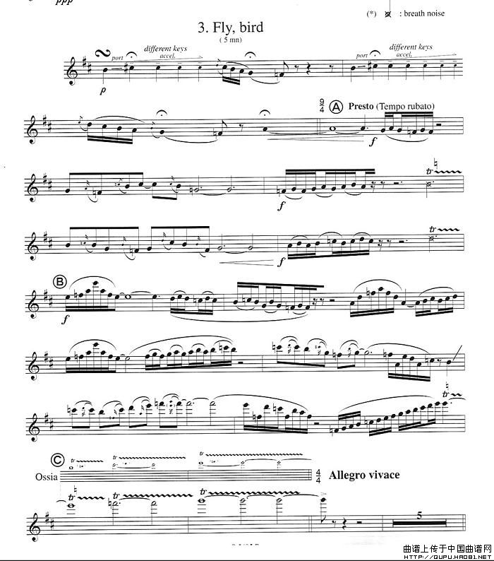 须川展也的《Fuzzy Bird Sonata》（Fly, Bird)毛绒鸟奏鸣曲之）