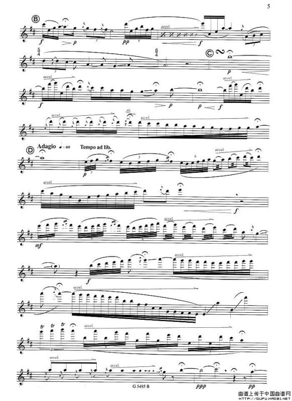 须川展也的《Fuzzy Bird Sonata》（Sing, Bird)毛绒鸟奏鸣曲之）