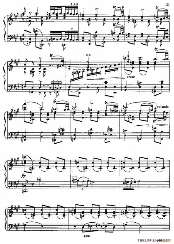 夜曲（改编自《D大调第二弦乐四重奏》第三乐章）