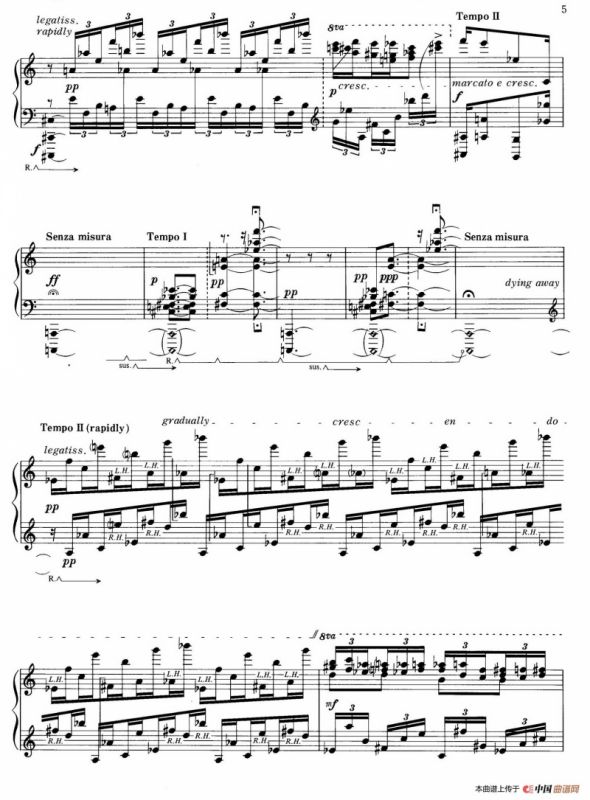 Rain Tree Sketch （雨树素描）