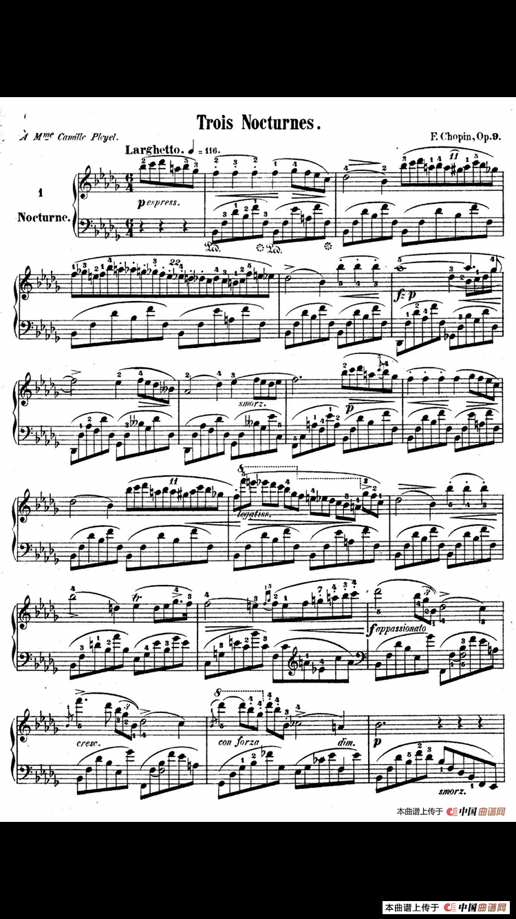 夜曲（献给卡米尔 普莱耶尔夫人）