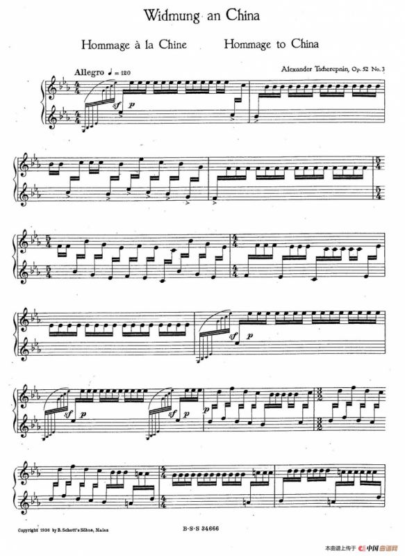 Five Concert Etudes 