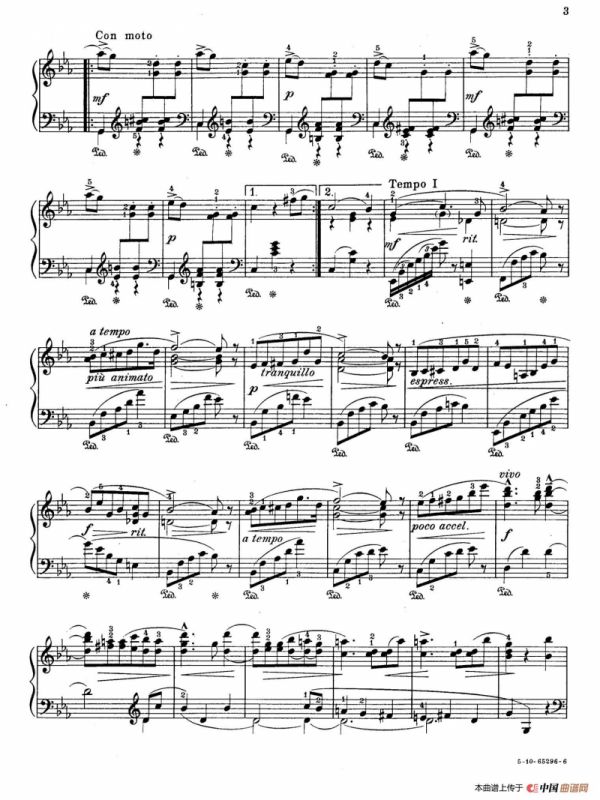 Valse Caprice in E-flat Major Op.53（降E大调随想圆舞曲）