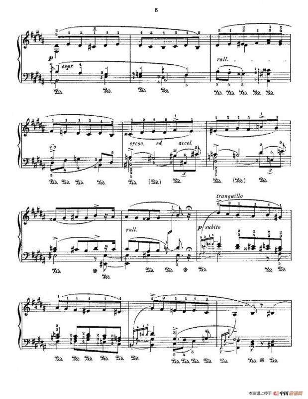 53首以肖邦练习曲为素材而作的练习曲（No.41）