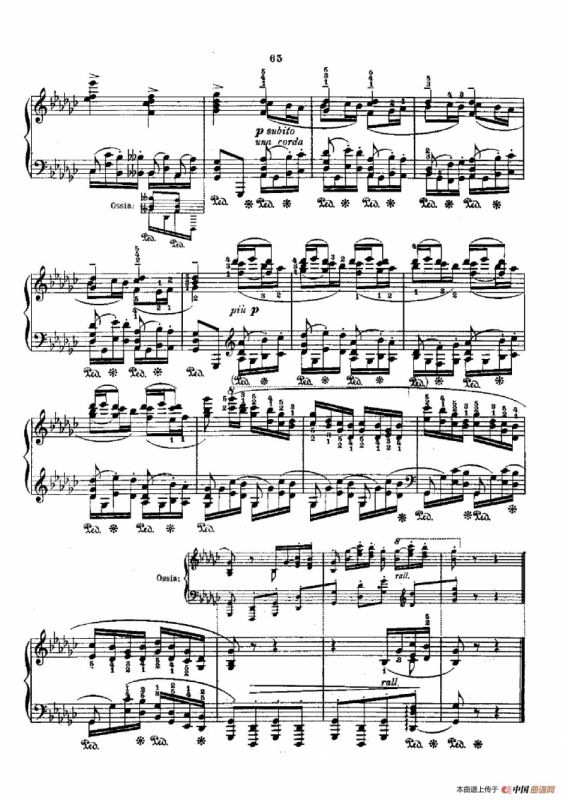 53首以肖邦练习曲为素材而作的练习曲（No.39）