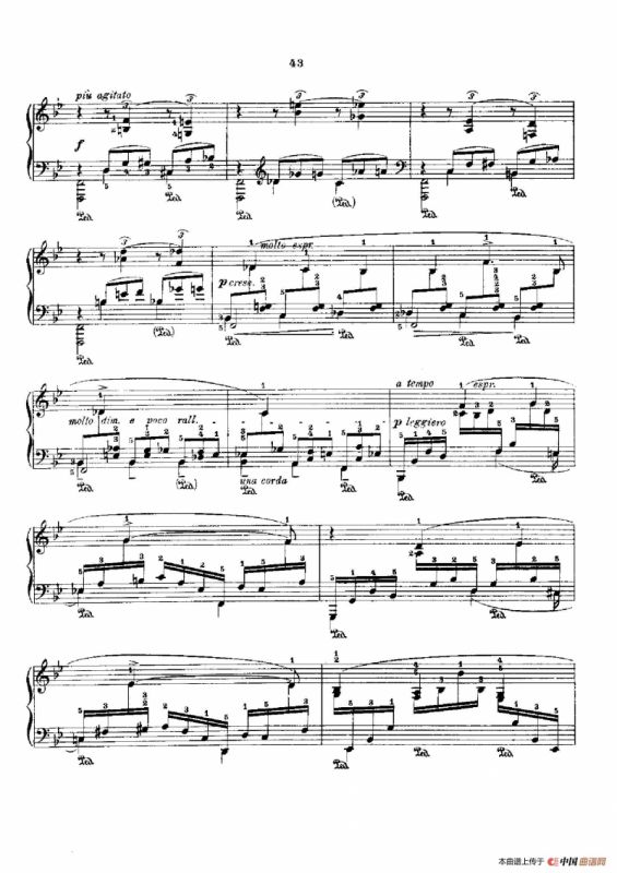 53首以肖邦练习曲为素材而作的练习曲（No.35）