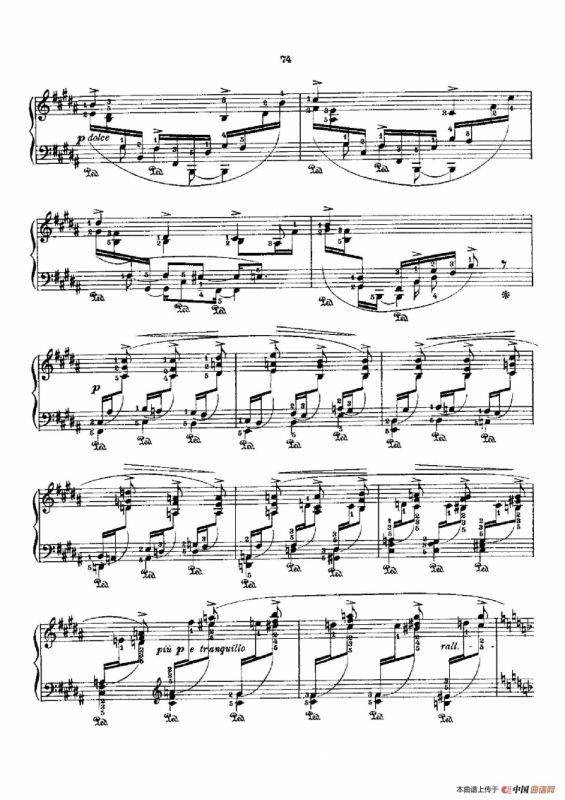 53首以肖邦练习曲为素材而作的练习曲（No.30）