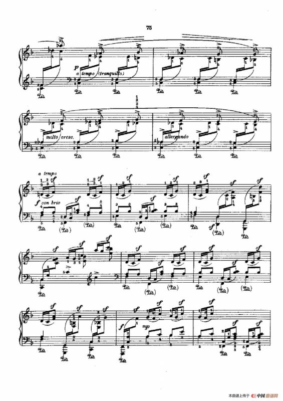 53首以肖邦练习曲为素材而作的练习曲（No.30）