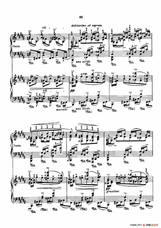 53首以肖邦练习曲为素材而作的练习曲（No.29）