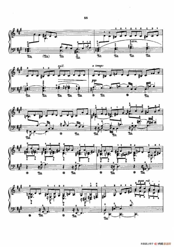 53首以肖邦练习曲为素材而作的练习曲（No.28A）