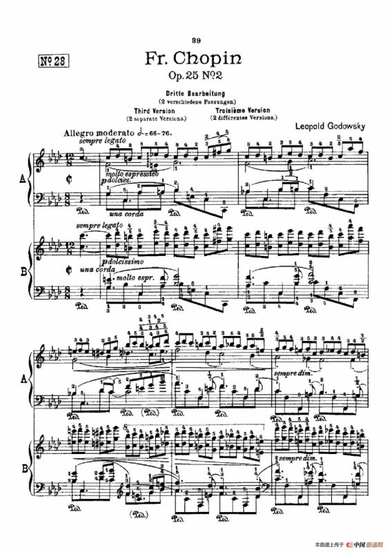 53首以肖邦练习曲为素材而作的练习曲（No.28）