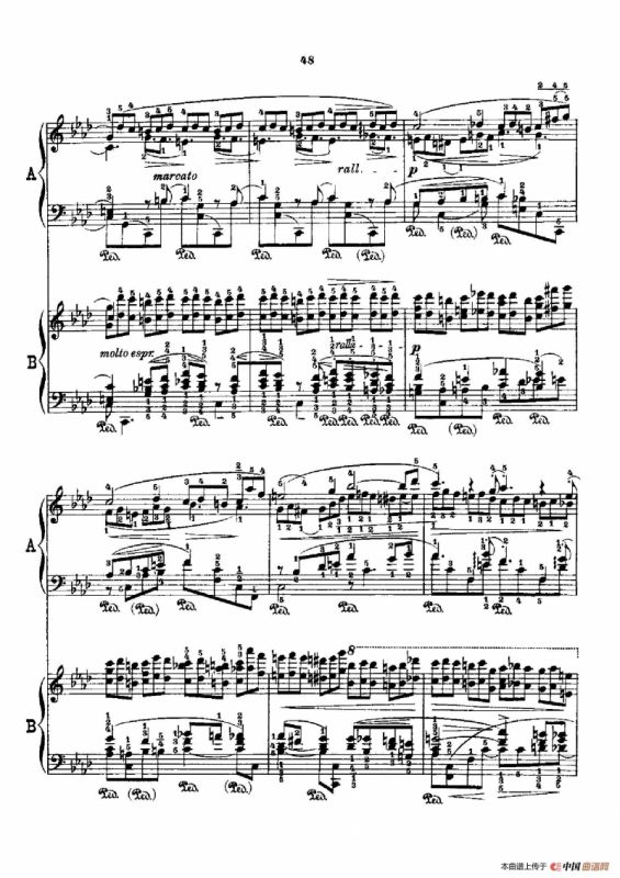 53首以肖邦练习曲为素材而作的练习曲（No.28）