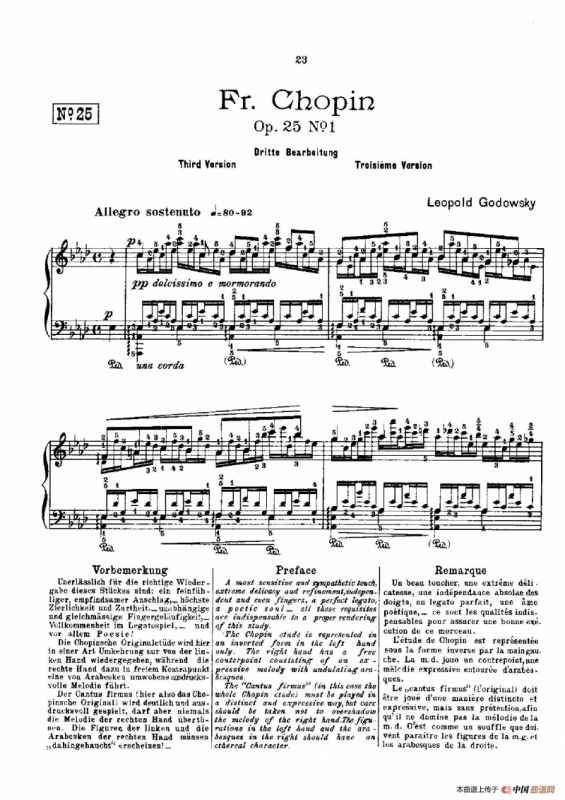 53首以肖邦练习曲为素材而作的练习曲（No.25）