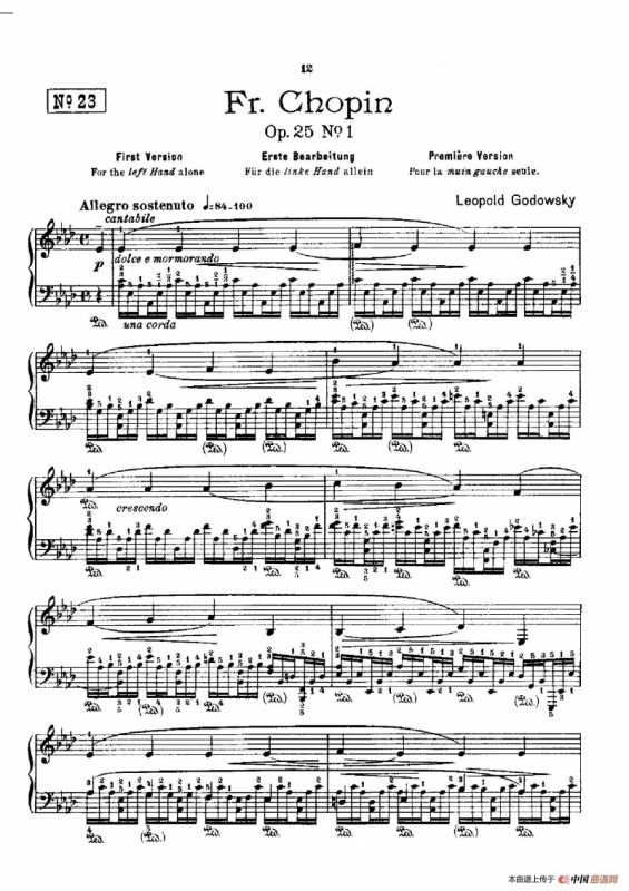53首以肖邦练习曲为素材而作的练习曲（No.23）