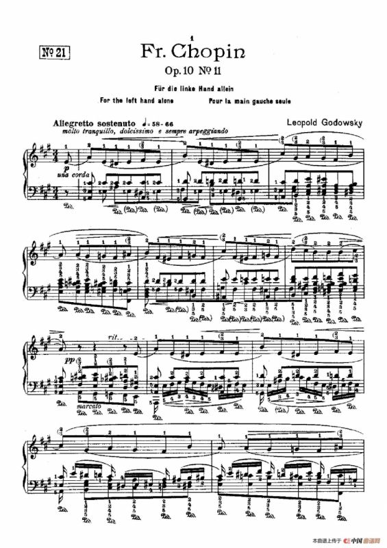 53首以肖邦练习曲为素材而作的练习曲（No.21）