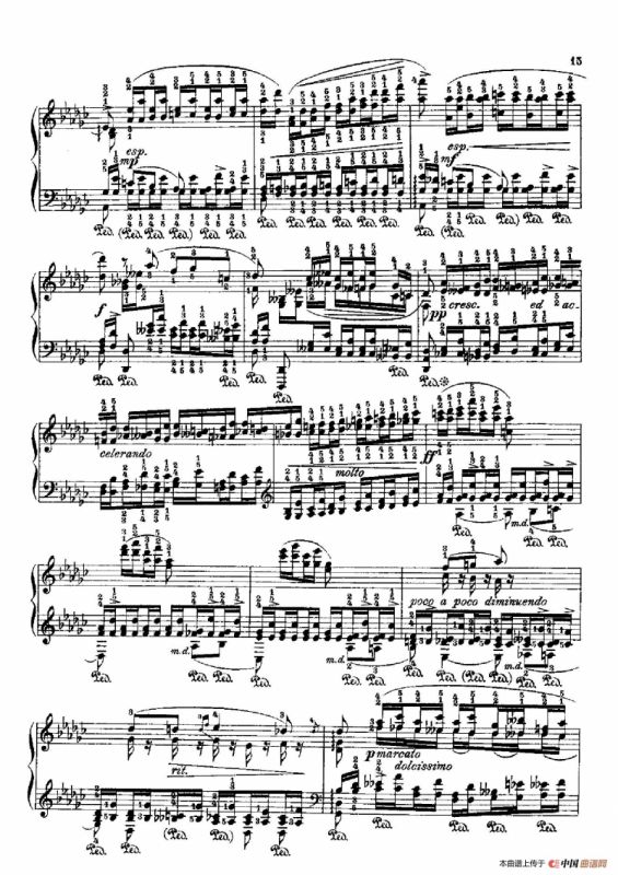 53首以肖邦练习曲为素材而作的练习曲（No.15）