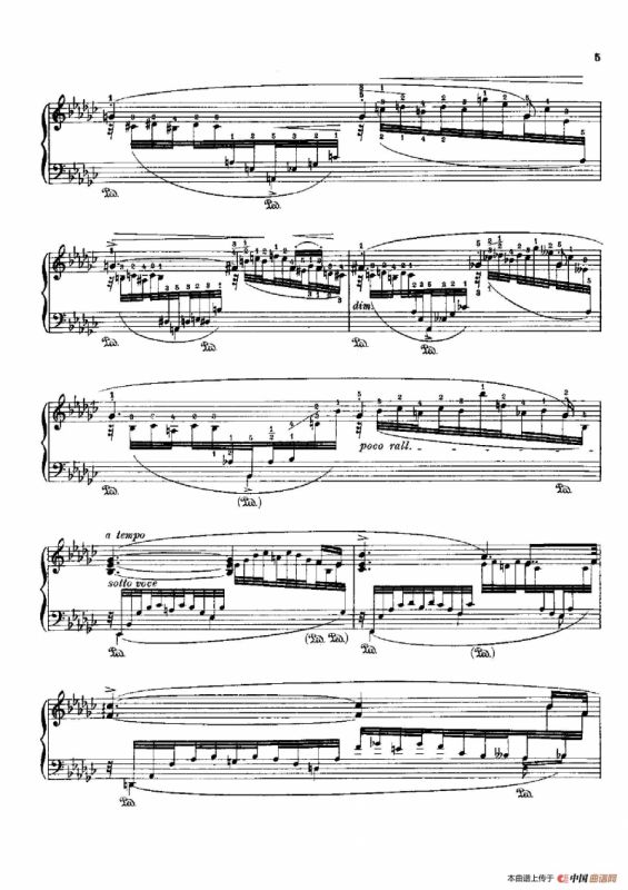 53首以肖邦练习曲为素材而作的练习曲（No.13）