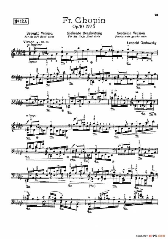 53首以肖邦练习曲为素材而作的练习曲（No.12A）