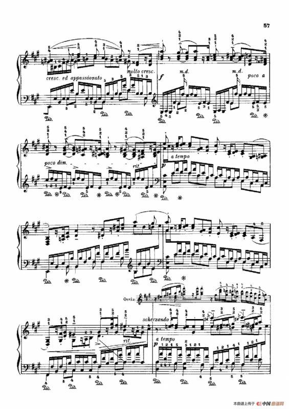 53首以肖邦练习曲为素材而作的练习曲（No.10）