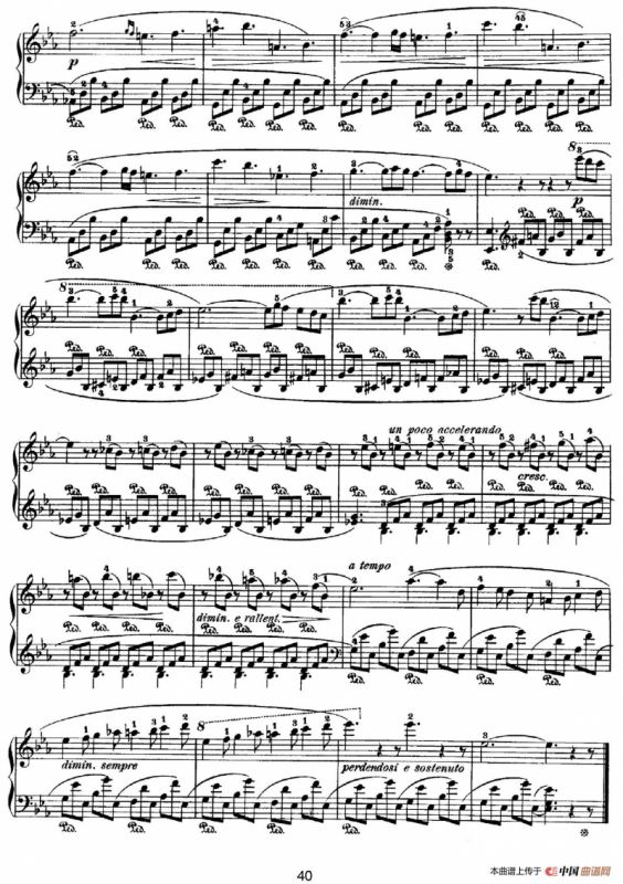Nocturne No.11 in E-flat Major （降E大调第十一号夜曲）