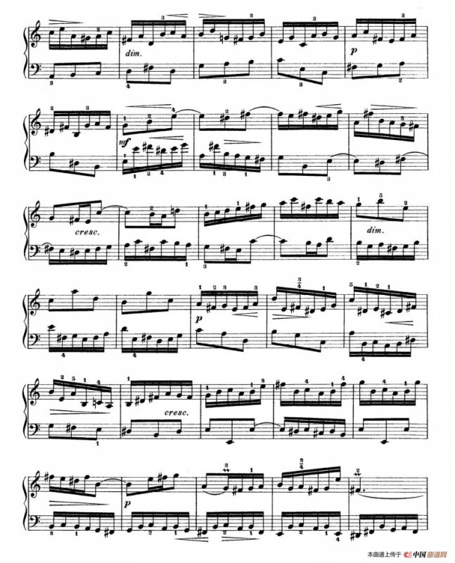 Six Partitas BWV 825-830（6首帕蒂塔·3）