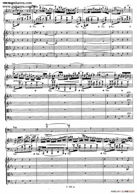 Grande Polonaise Brilliante Preceded by an Andante Spianato Op.22（平静的行板与华丽的波兰舞曲·总谱）